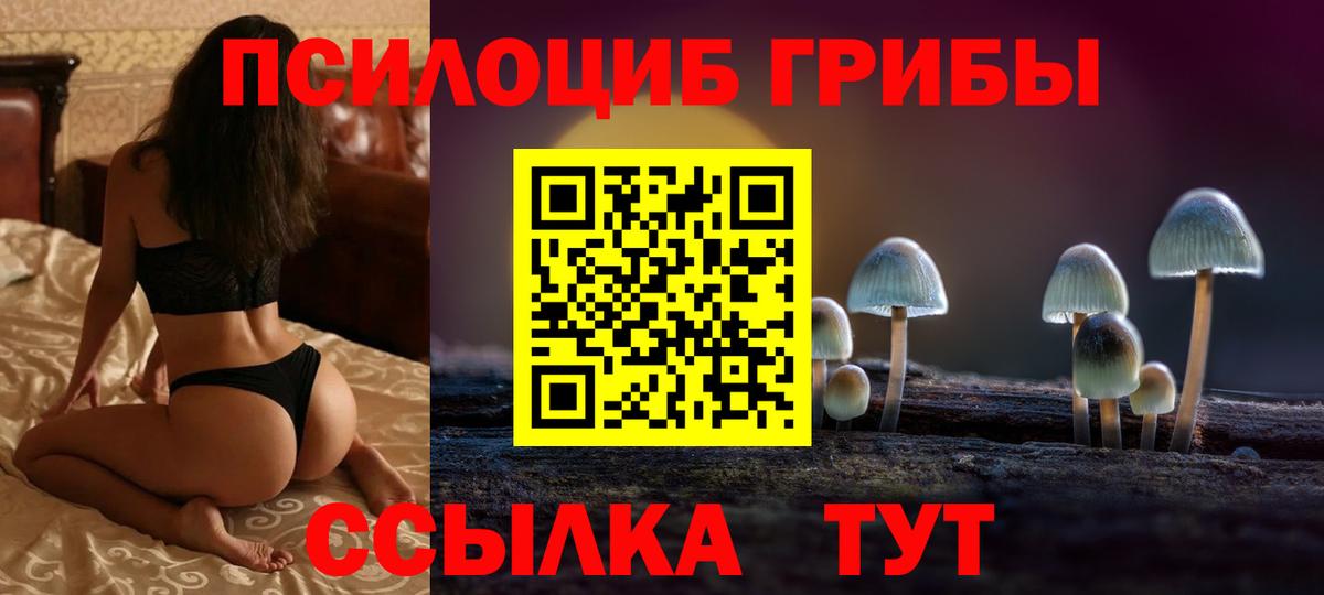 Галлюциногенные грибы Cubensis  Вход с VPN  Кингисепп 