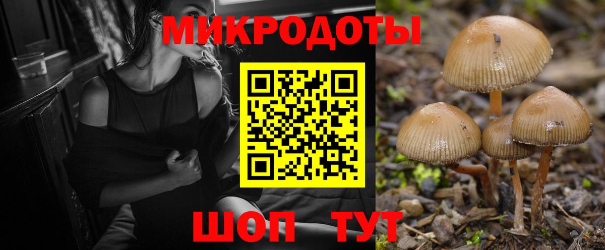 Псилоцибиновые грибы мухоморы Кингисепп